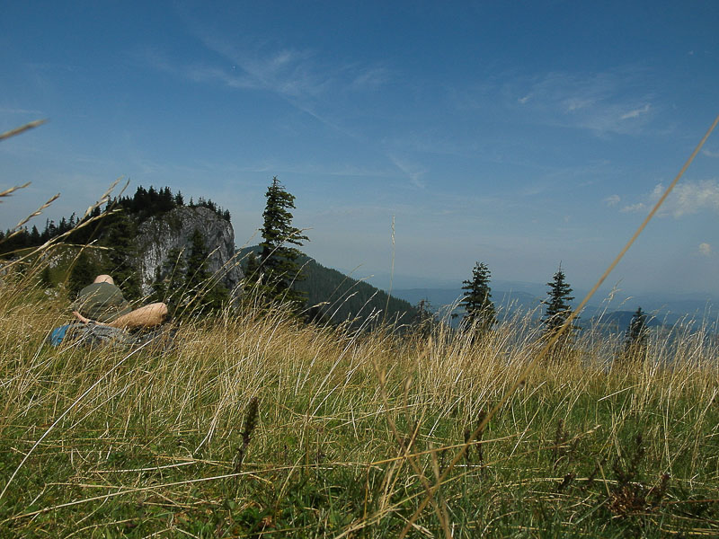 7scari_septembrie2010